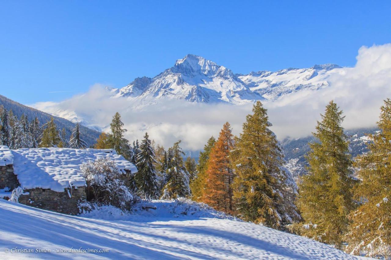 Les Balcons Proche Parc National Vanoise Appartements 2 Pieces 6 Pers Cabine Termignon Buitenkant foto